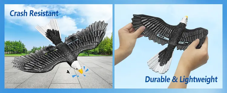 هواپیمای کنترلی طرح عقاب BM17 | هابی سنتر